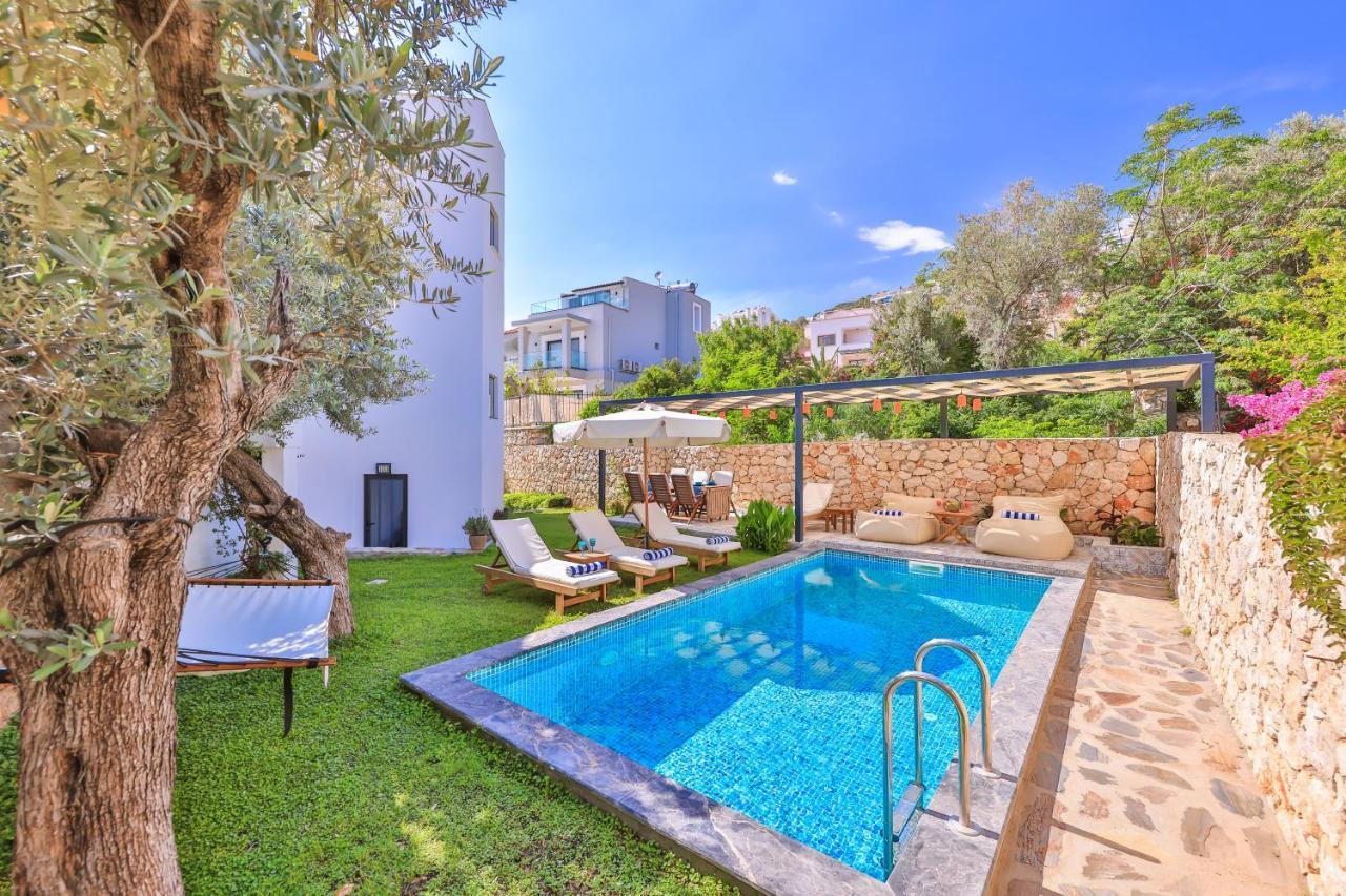 Roxy 3 Bedroom With One Of The Unique Gardens In Villa *