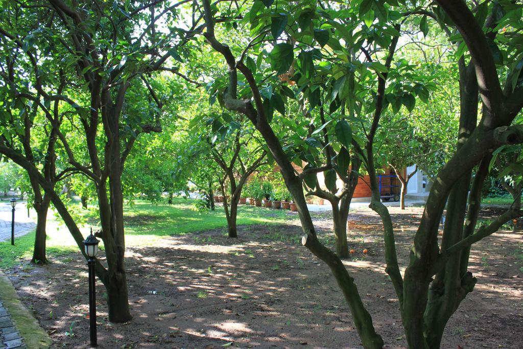 Holiday park Yildiz Cirali