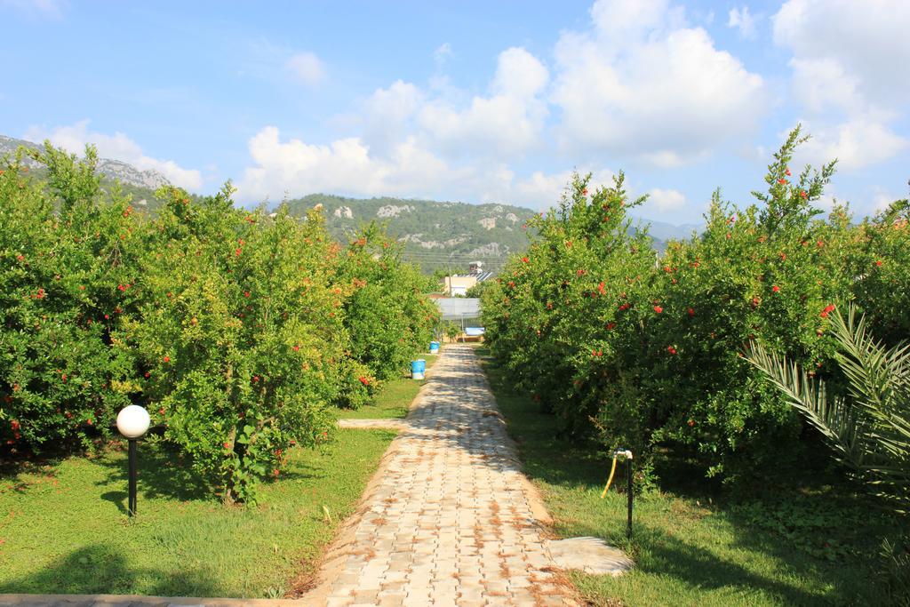 Yildiz Holiday park Cirali