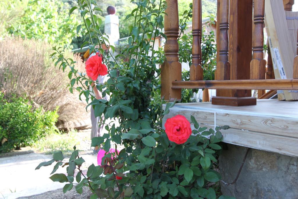 Homestay Elly's Mesudiye (Datca)