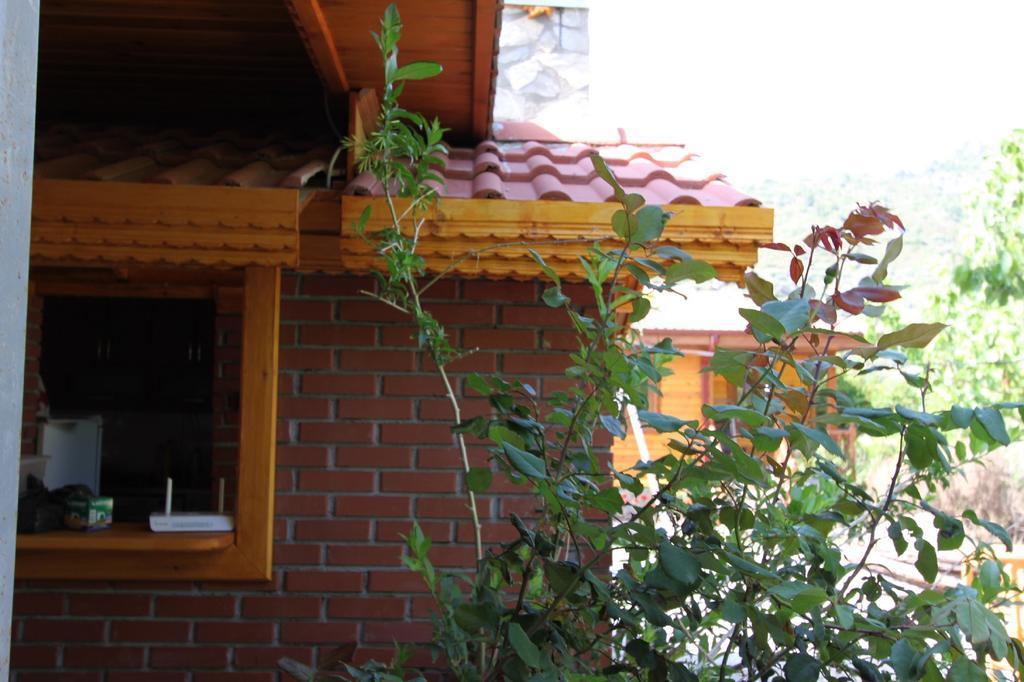 Homestay Elly's
