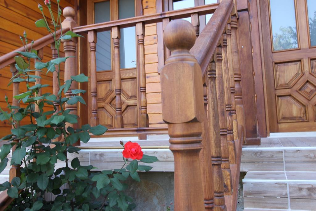 Elly's Homestay Mesudiye (Datca)