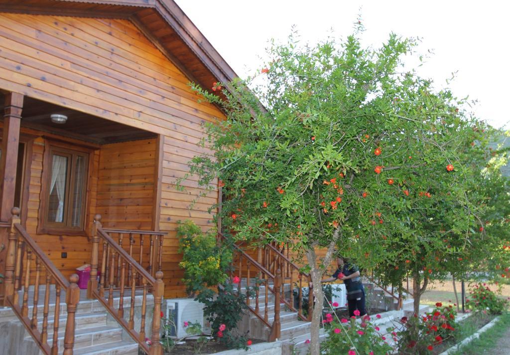 Elly's Homestay Mesudiye (Datca)