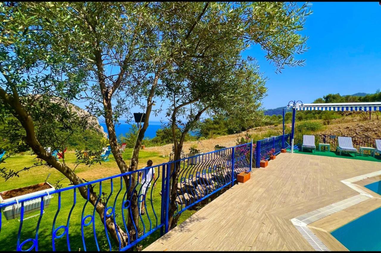 Hotel Lavanta Butik Otel Turunc