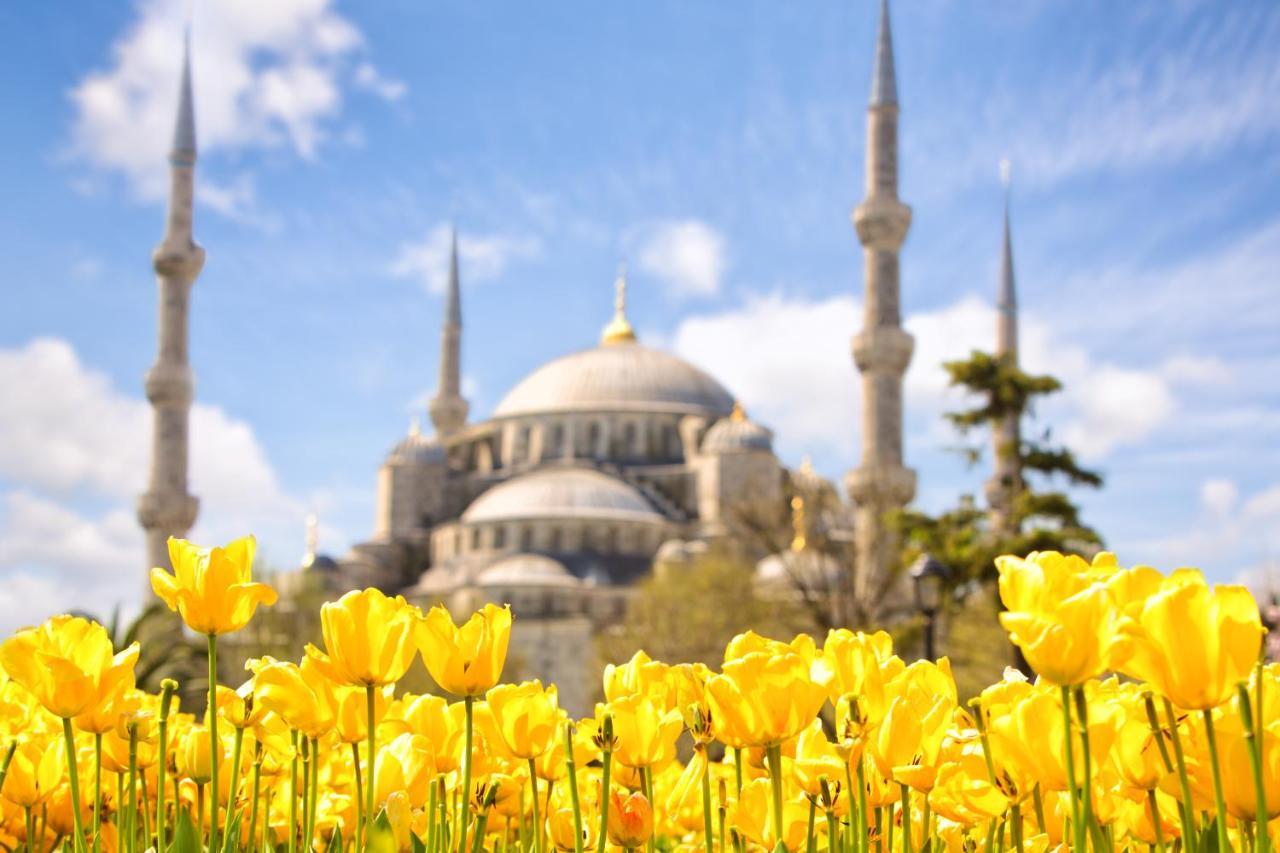 Perazre Istanbul