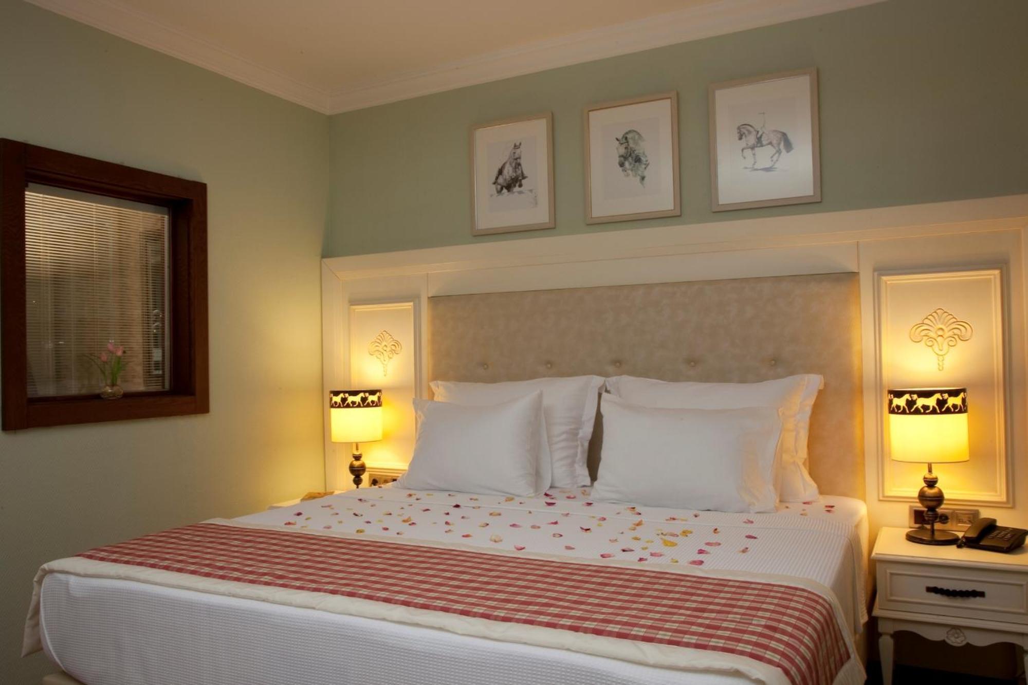 Padok Premium & Stables 4*
