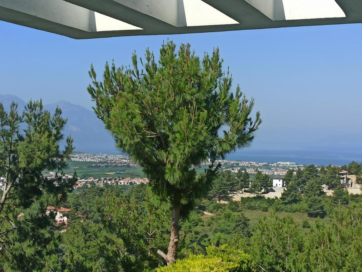 Exclusive Villa