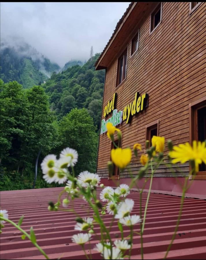 Paradise * Ayder Yaylasi