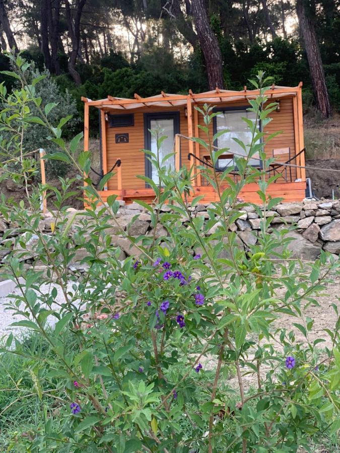 Tiny Mini House *