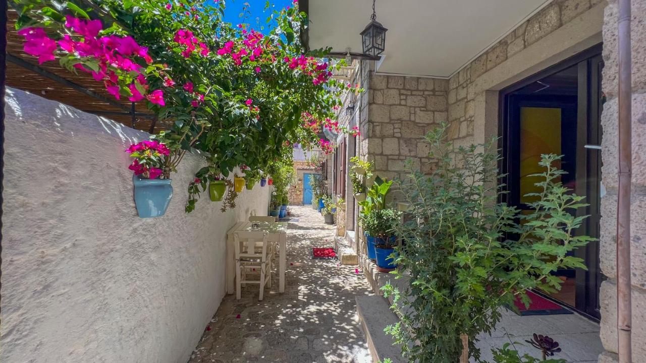Bed & Breakfast Alayaz 3*