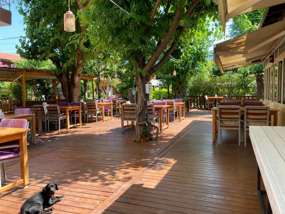 Kutle Hotel
