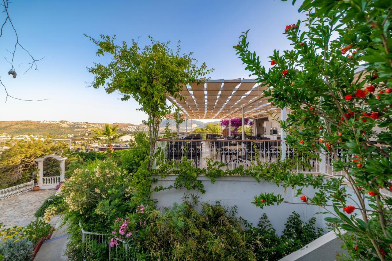 Riva Bodrum Resort- Adult Only +16 Hotel