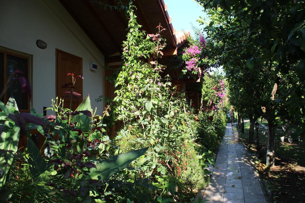 Blue Paradise Guest house *