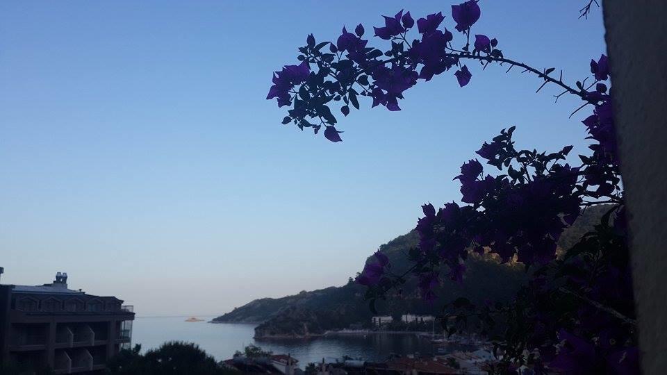 Kavala 2*
