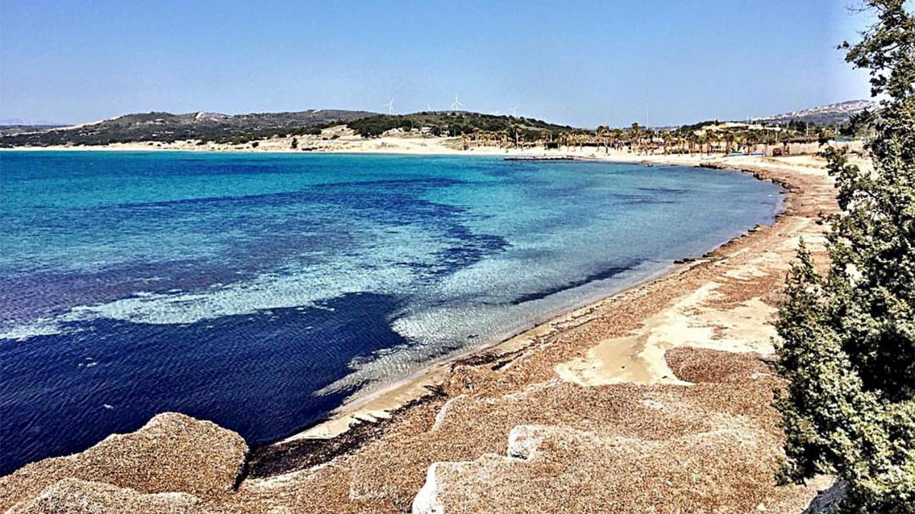 Zeytinycesme L Tiny & Farm L Holiday home *