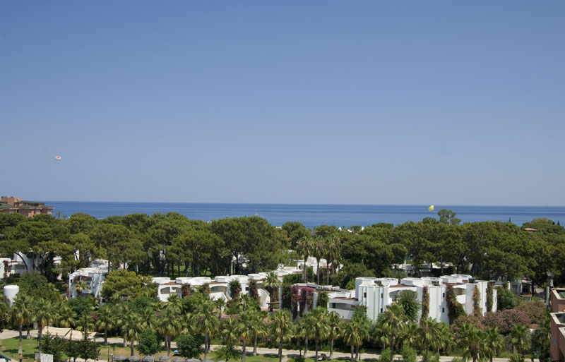 Emelda Sun Club