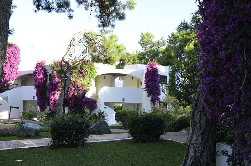Emelda Sun Club 5* Kemer
