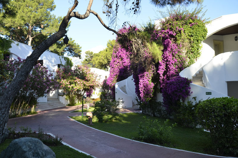 Resort Emelda Sun Club