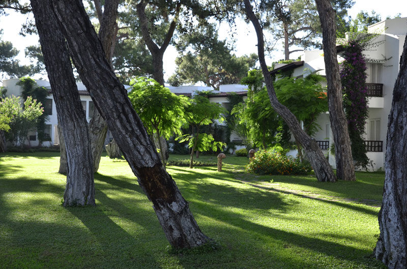 Emelda Sun Club Kemer