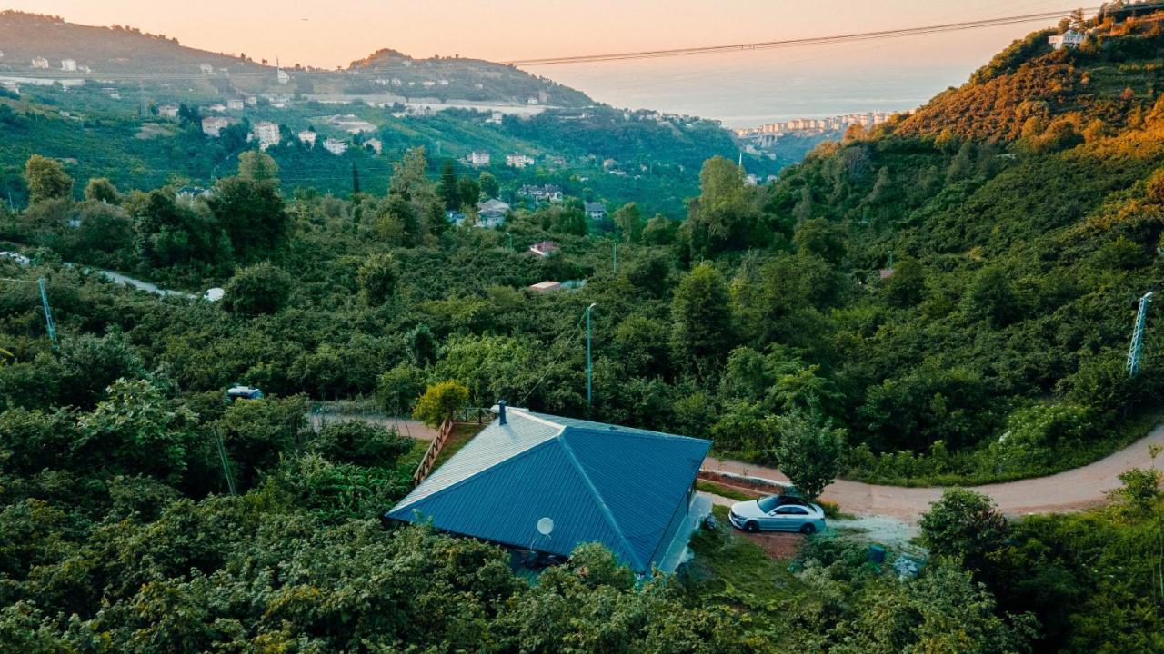 Blacksea Dream House Holiday home