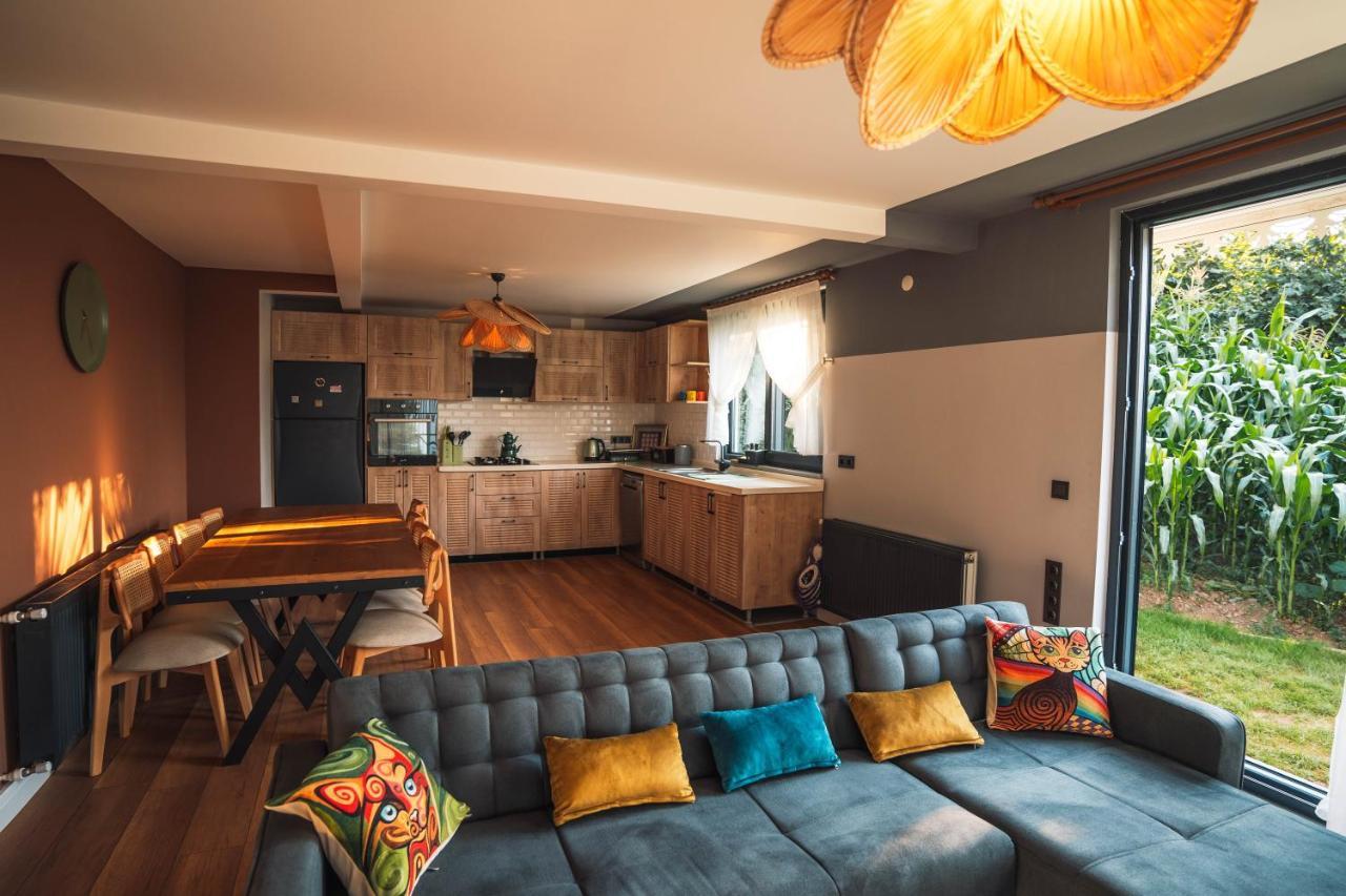 Blacksea Dream House Holiday home *