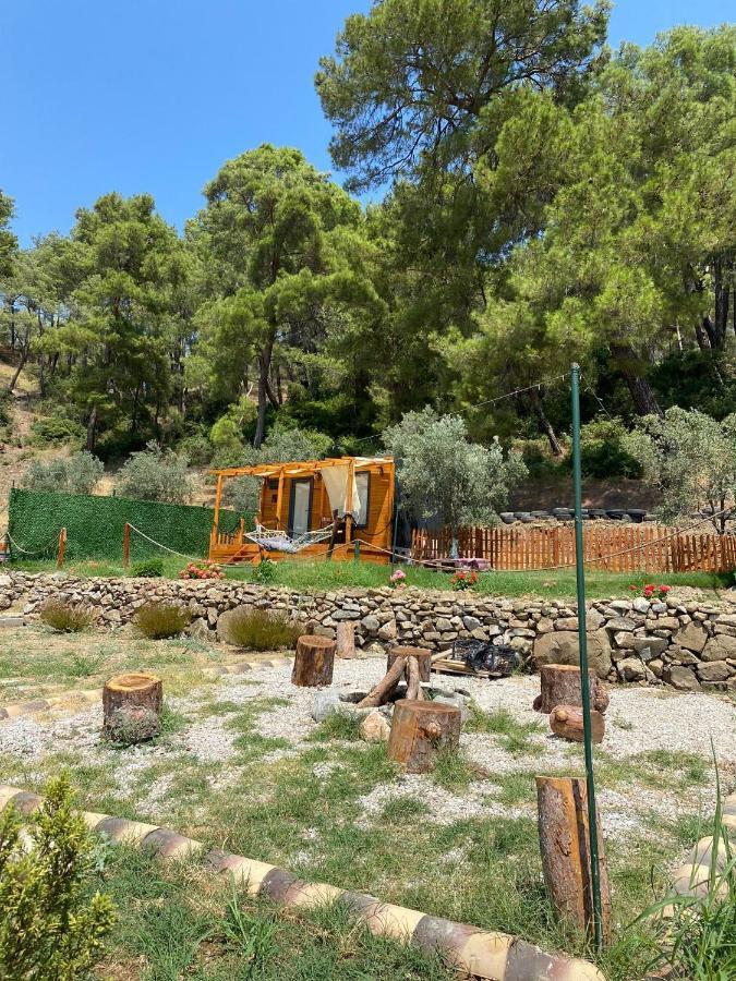 Tiny Mini House Campsite