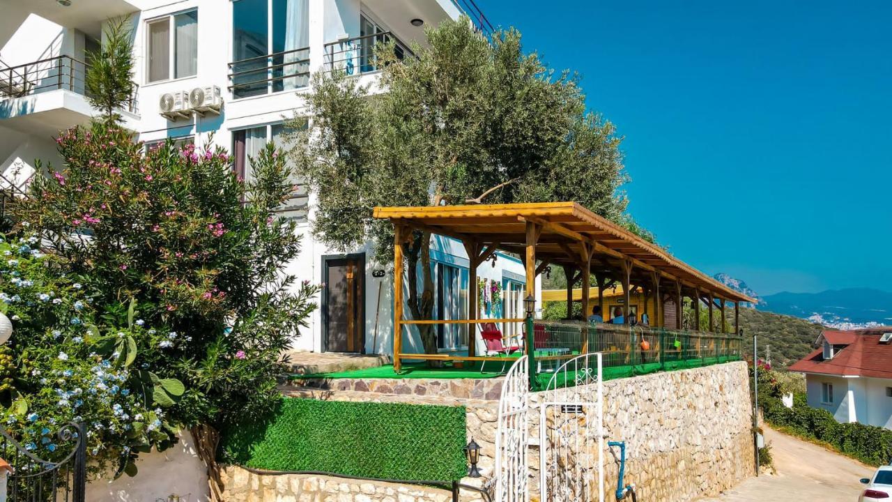 Hotel Just Dream 3*