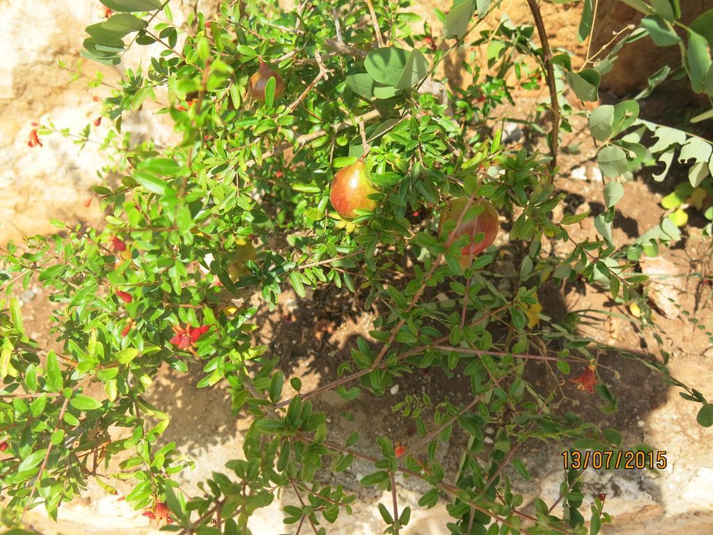 Hotel Kulube Kalkan