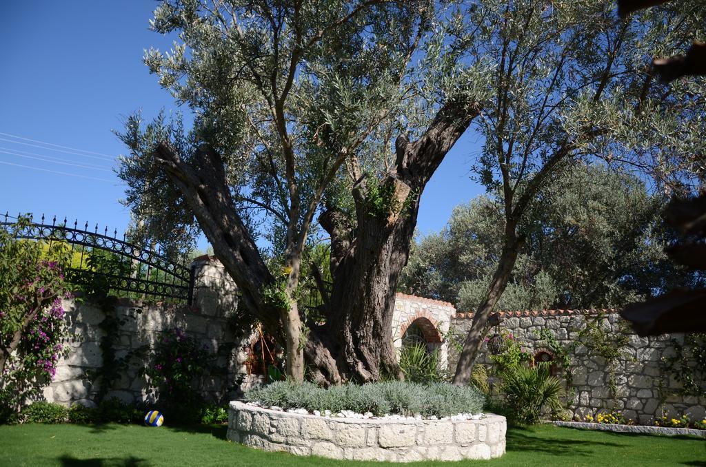 Boreas (adults Only) Alacati