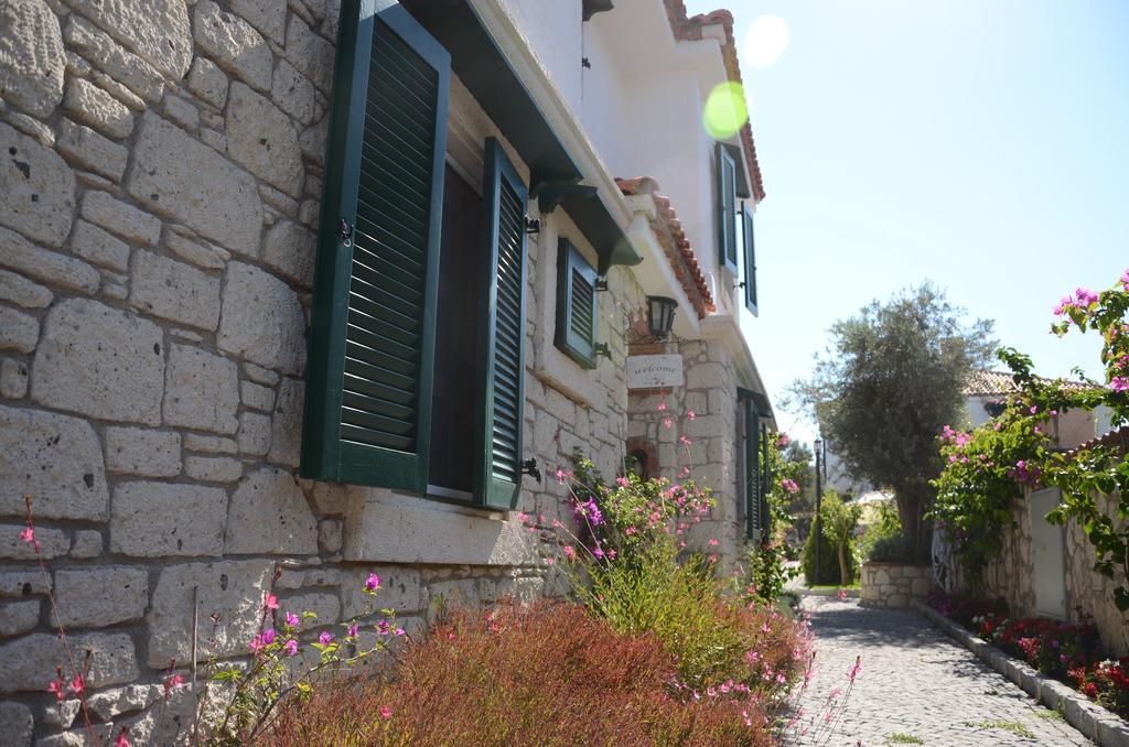 Boreas (adults Only) 3*