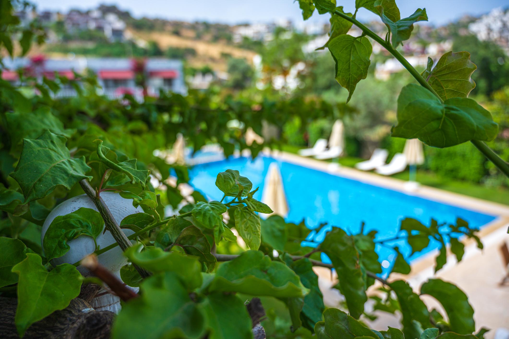Hotel Rustica