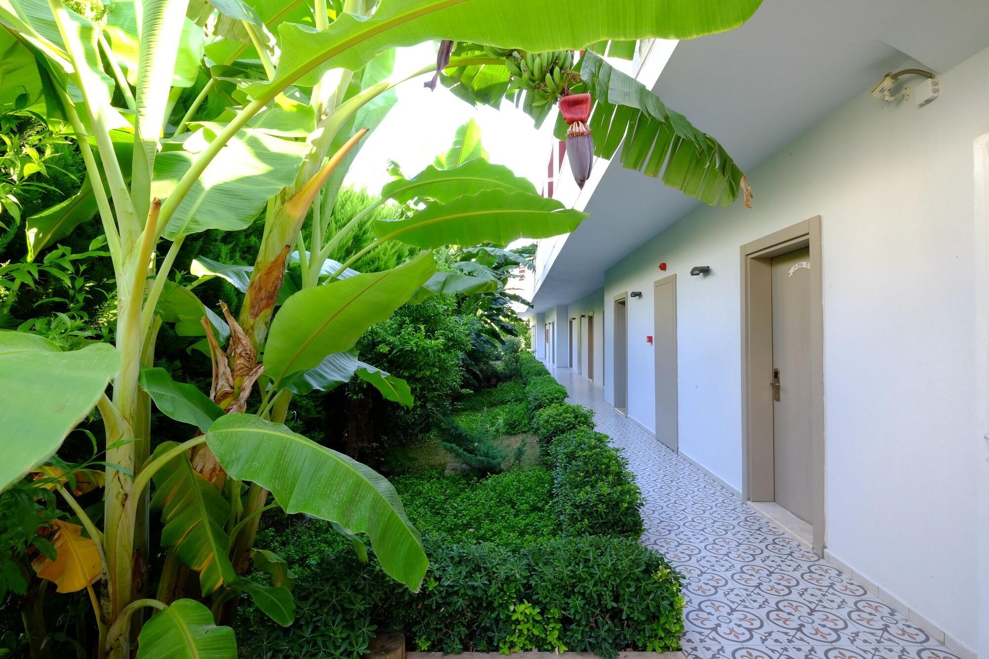 Rustica Hotel