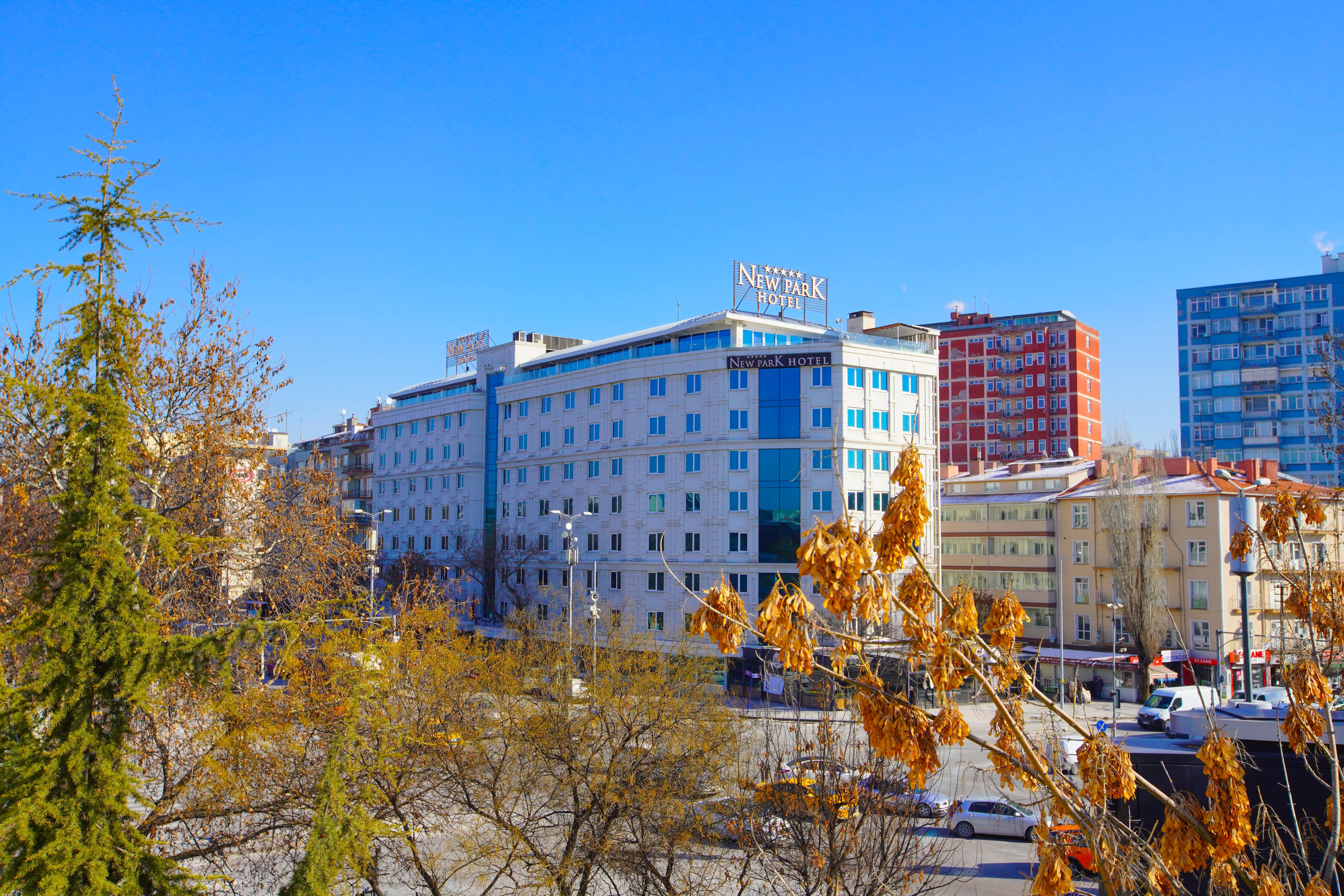 New Park