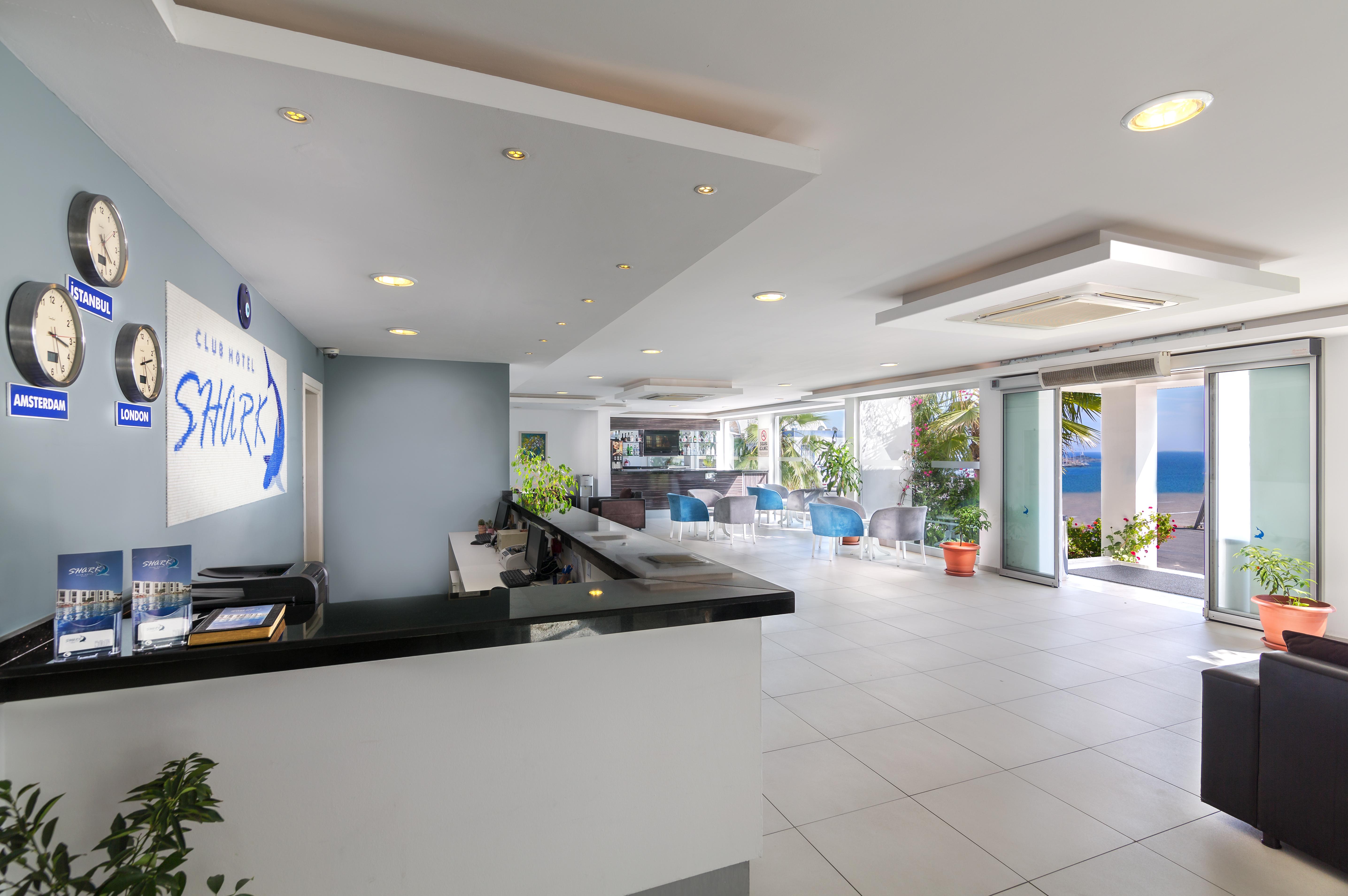 Club Shark 4*