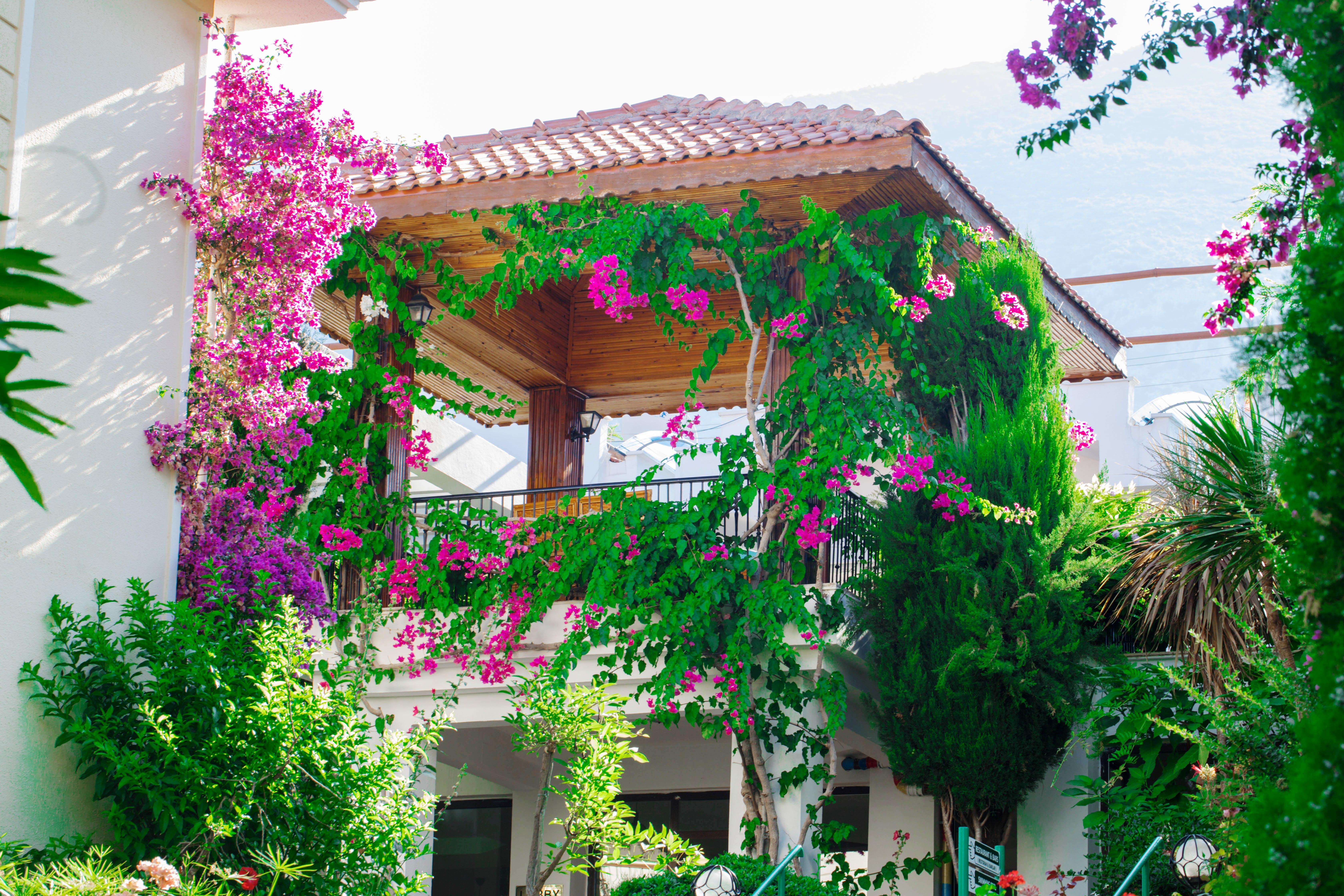 Hotel Yel 3*