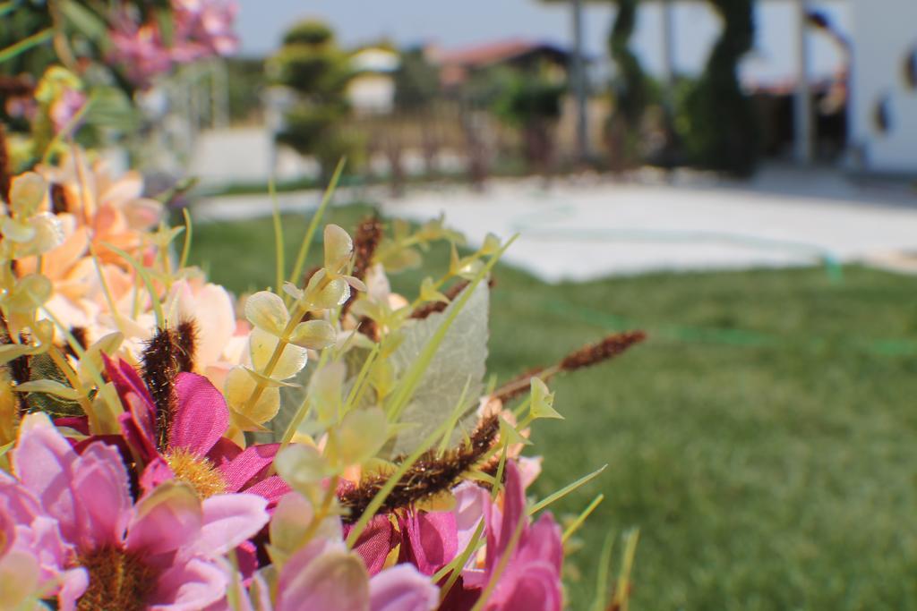 Bed & Breakfast Lapis Port Surf 2*