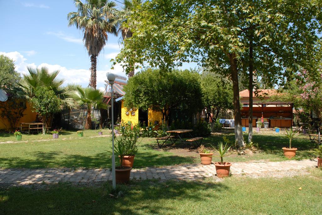Lodge Camping
