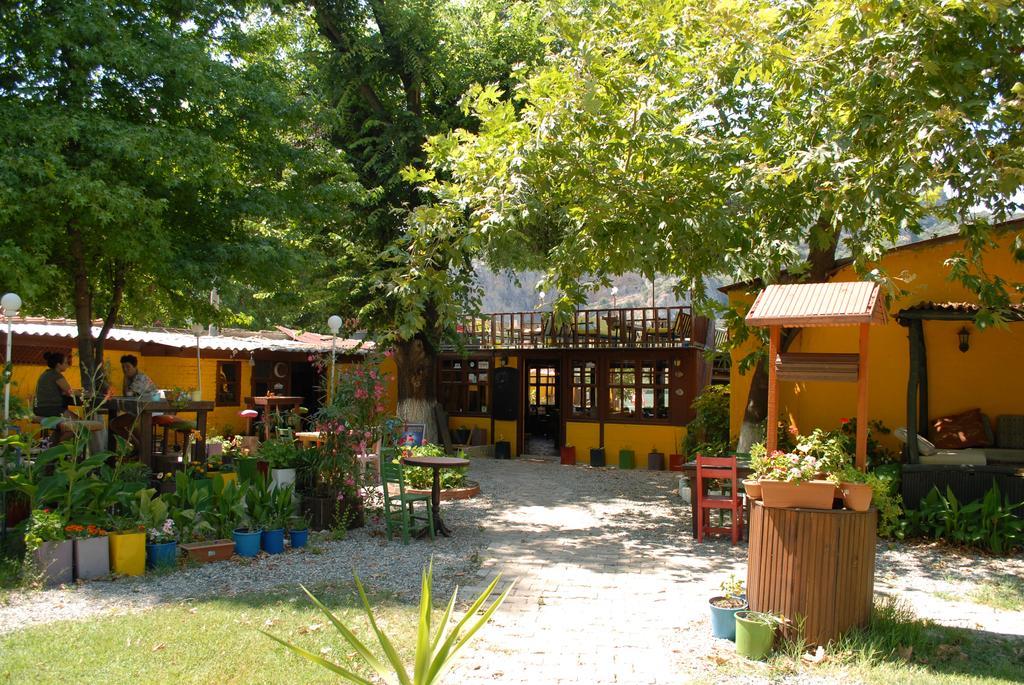 Lodge Camping *