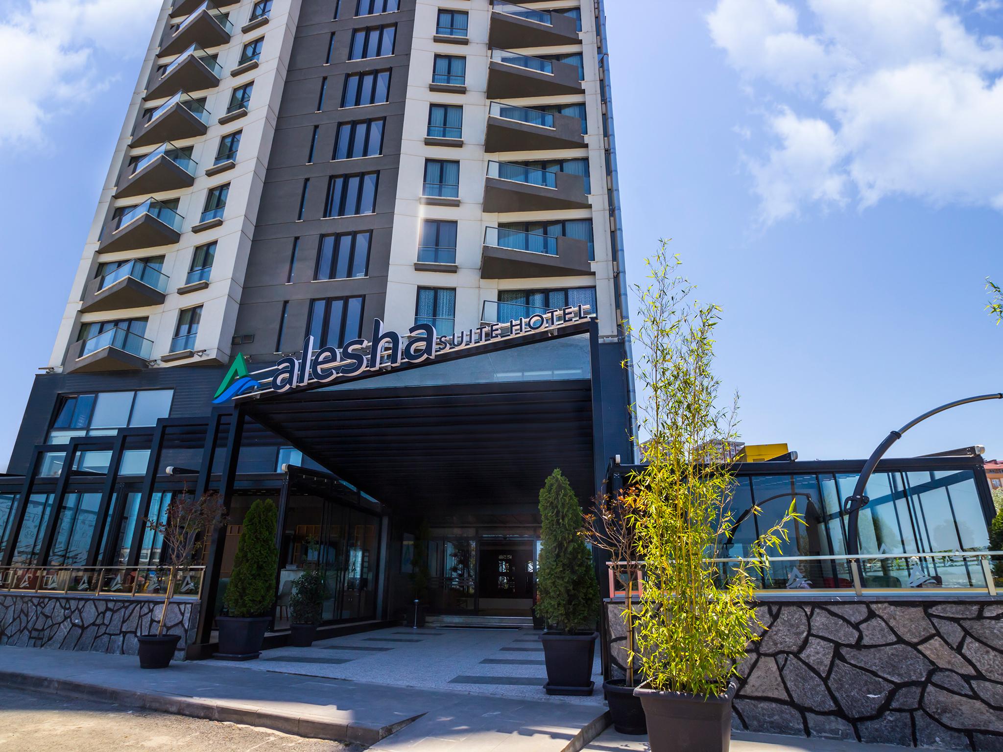 Alesha Hotel