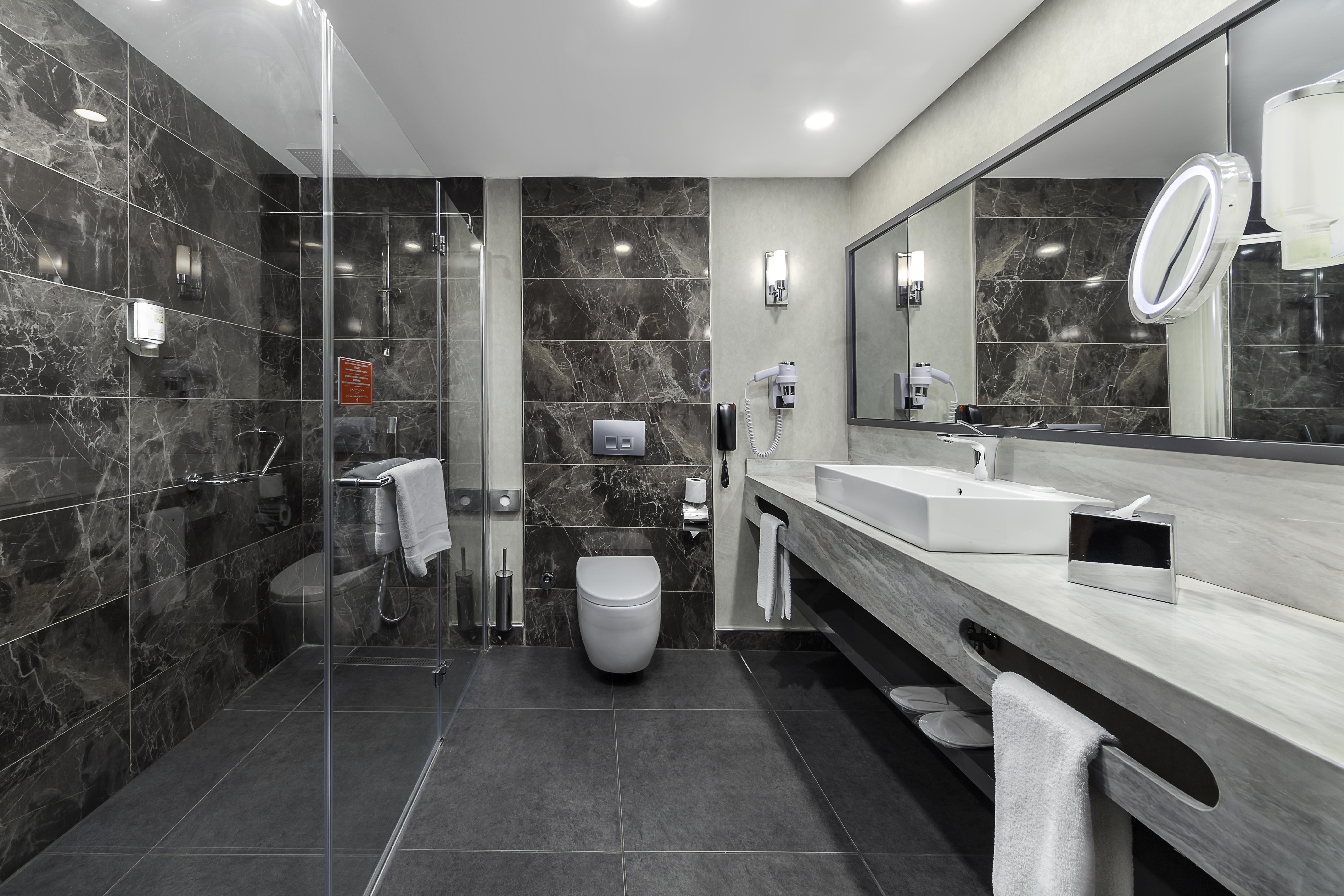 Hotel Park Dedeman 4*