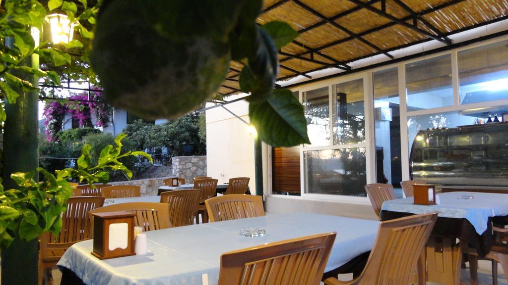 Homestay Yuksel Sogut (Aegean)
