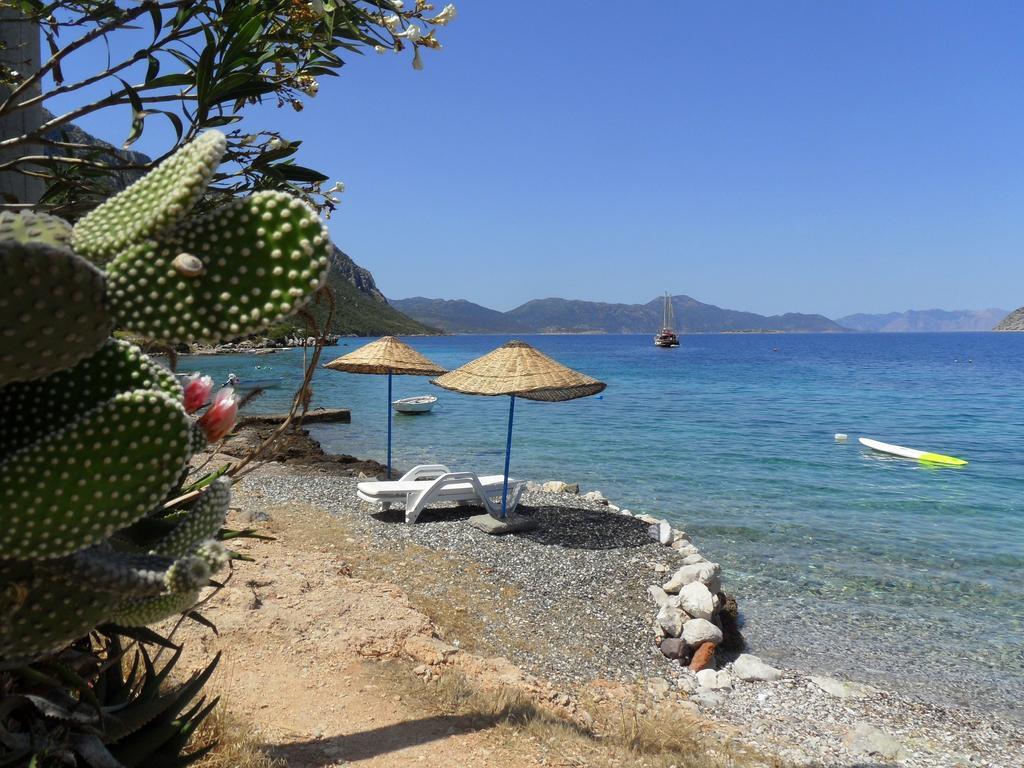 Guest house Saranda 2*