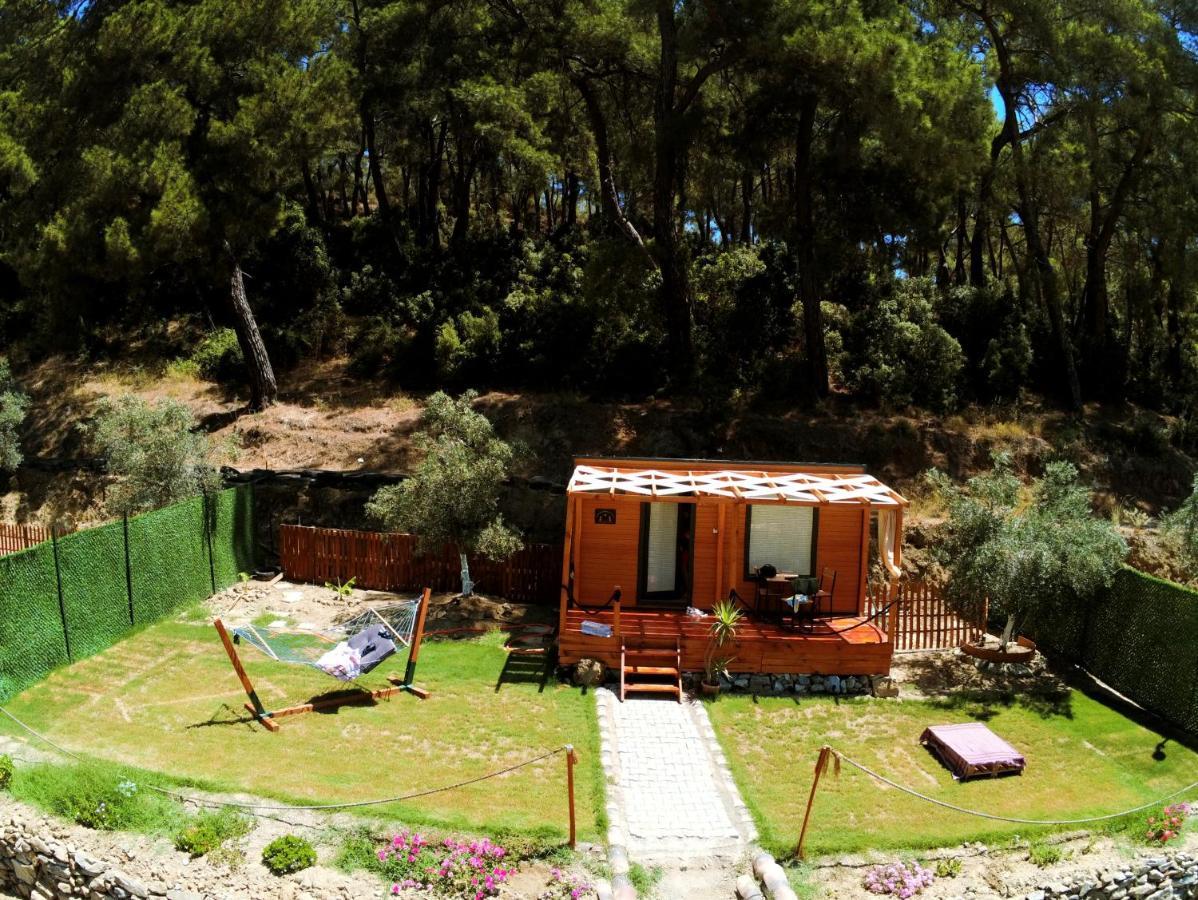 Campsite Tiny Mini House