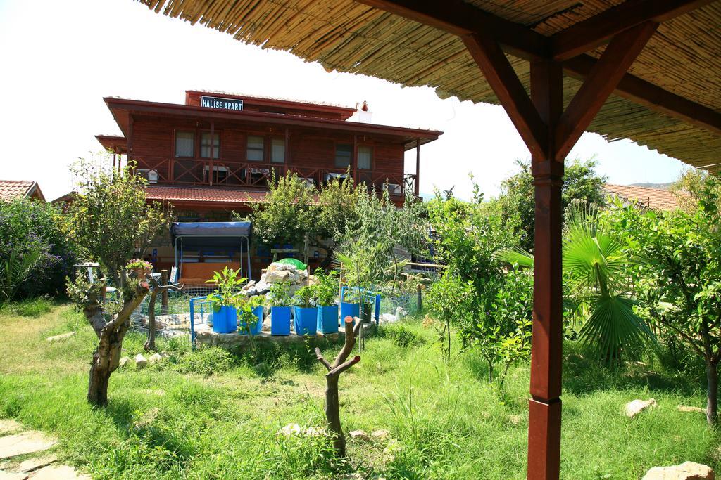Homestay Halise *