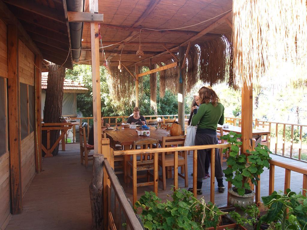 Yuva Eco Holiday Yoga Retreat Resort