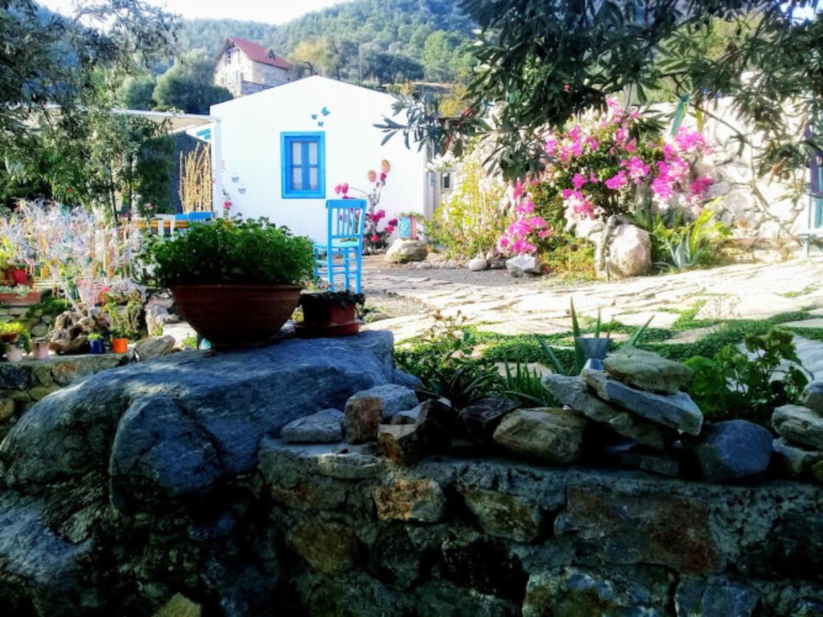 Hotel Mavi Kelebek *