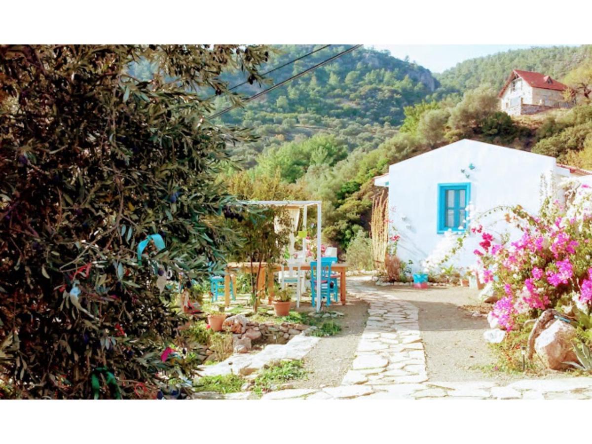 Hotel Mavi Kelebek *