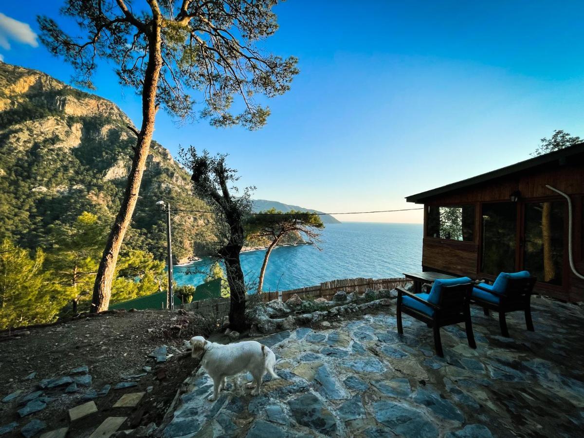 Hotel Kabak Uetopya Kamp *