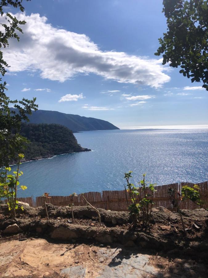 Kabak Uetopya Kamp Faralya