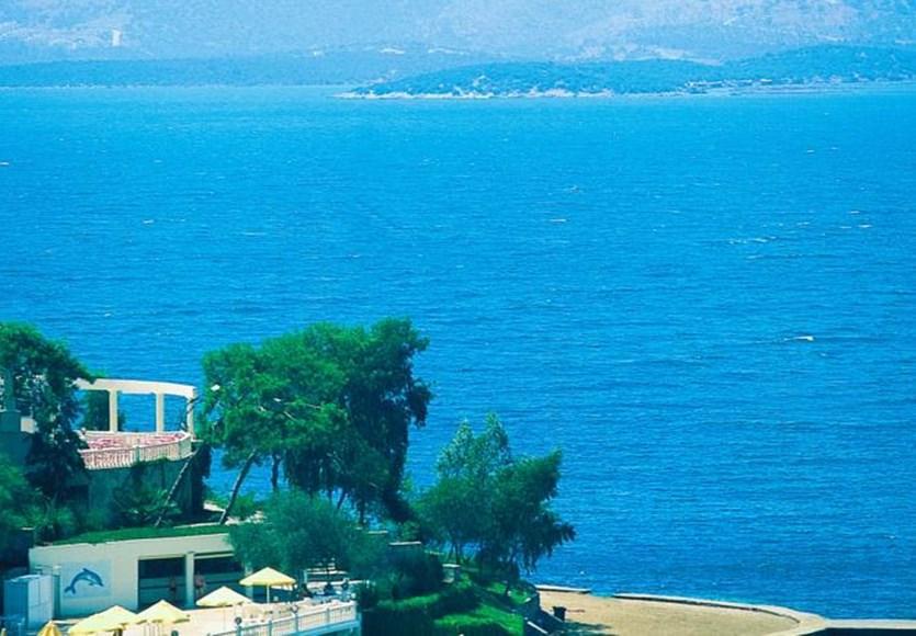 Roseira Gulluk